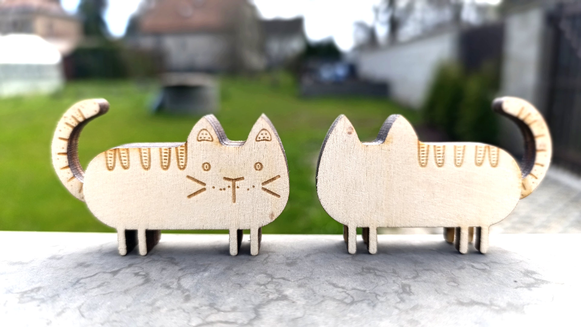 00250_s2 Cat Decor 00250