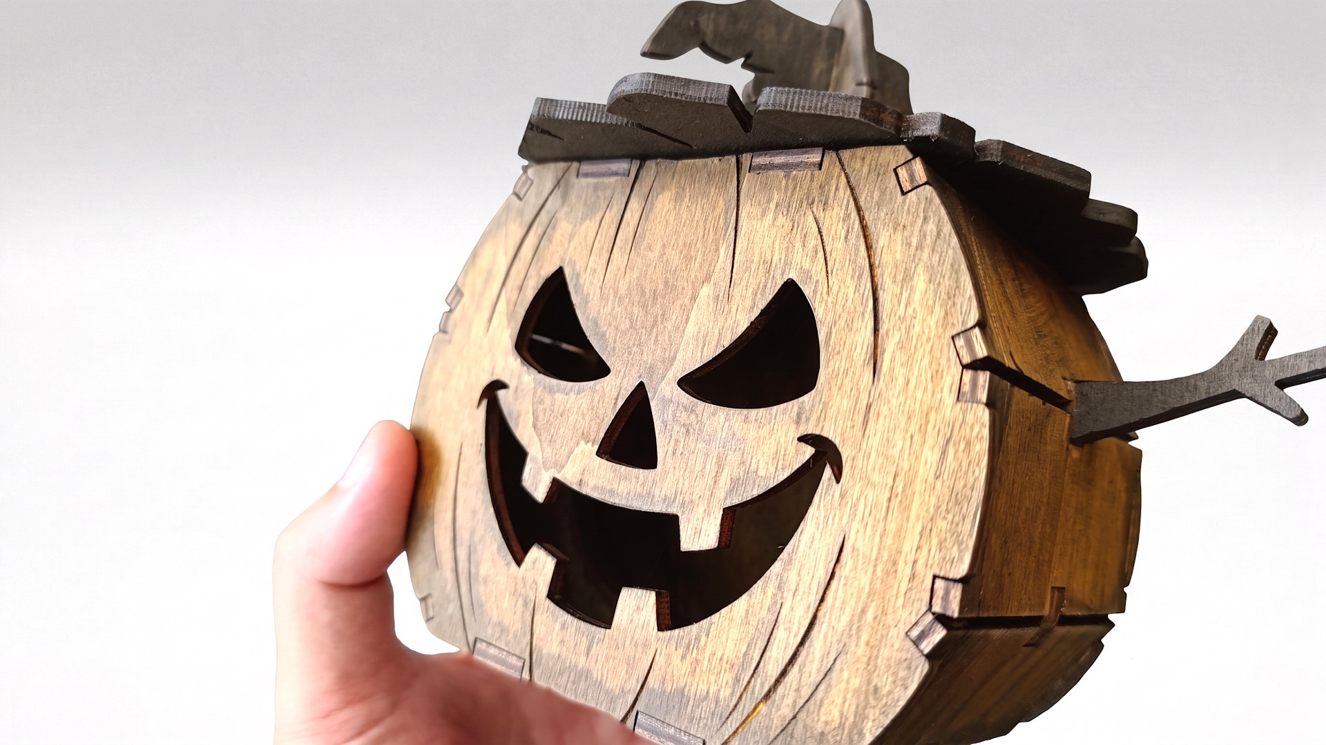 Pumpkin 00297